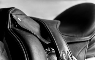 Used Dressage Riding Saddle and Girth with shallow depth of field